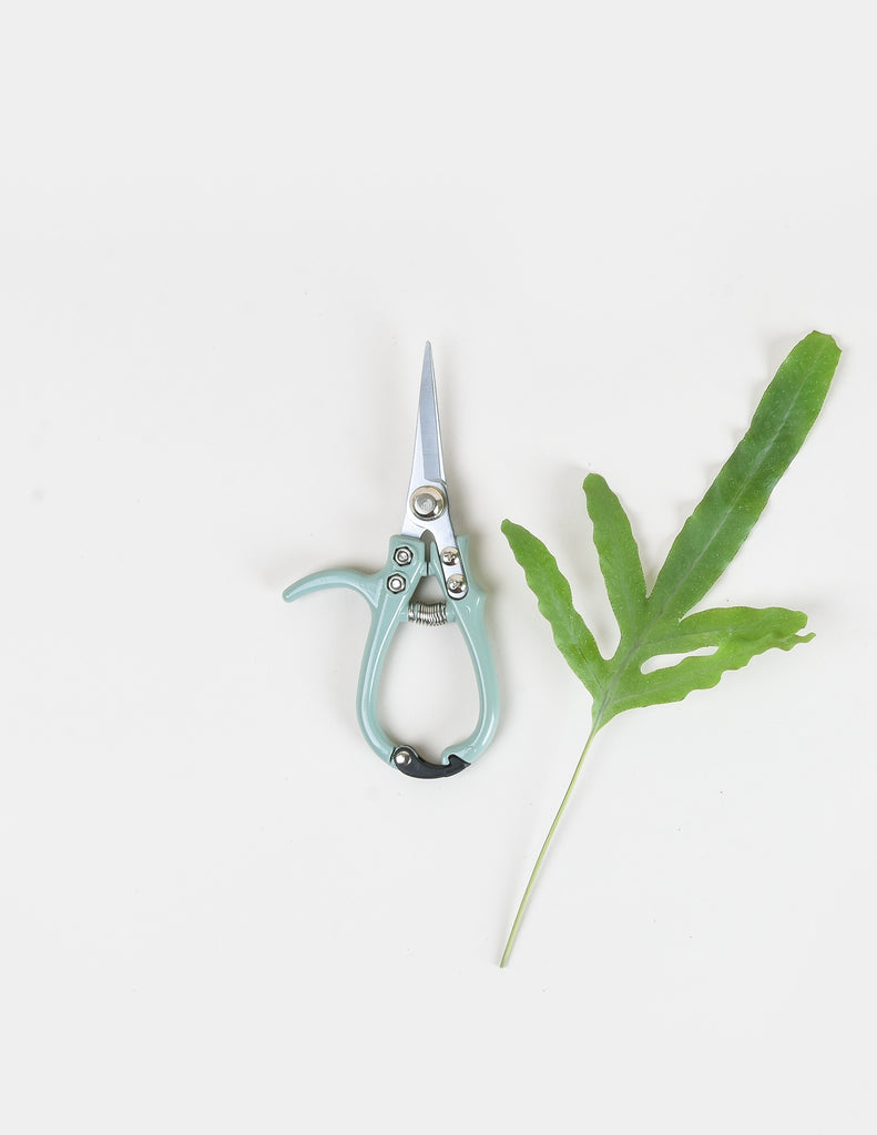 Modern Sprout Pruning Snips - Pistils Nursery